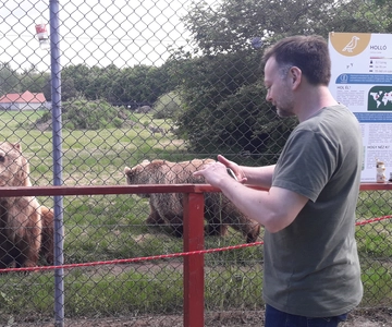 Budapest: Transport & Guided Tour of Bear and Wolf Sanctuary