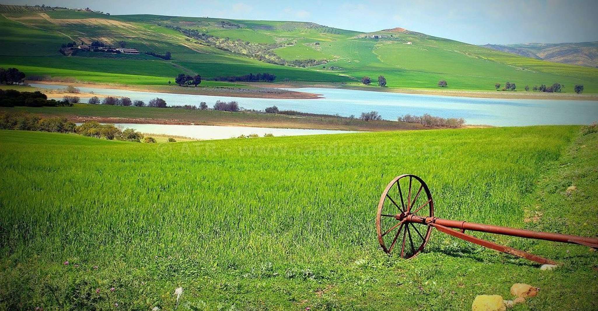 Sousse & Hammamet, Oudhna, Testour, Djebba & Dougga Day Tour - Hizvo