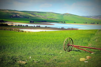 Sousse & Hammamet, Oudhna, Testour, Djebba & Dougga Day Tour - Hizvo