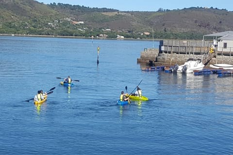 Knysna Kayak Hire