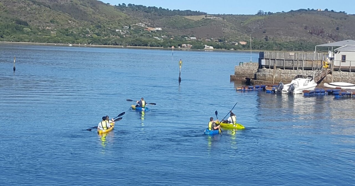 Knysna Kayak Hire GetYourGuide