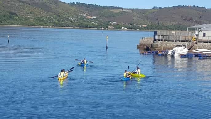 knysna kayak hire