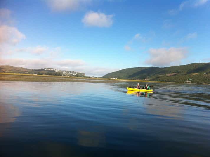 Knysna Kayak Hire GetYourGuide