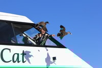 Lake Taupo, Maori Rock Carvings 10.30 AM 1.5-Hour Cruise - Housity