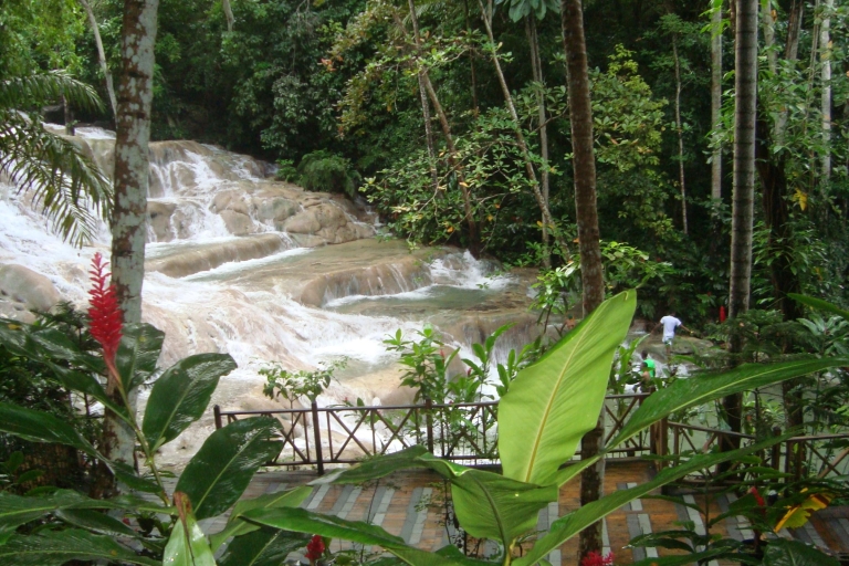 Dunn's watervallen: Tour vanuit Montego Bay, RB, Ocho RiosVan Montego Bay Hotels