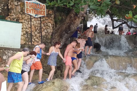 Dunn's River Falls: Tour from Montego Bay, Negril, Ocho Rios