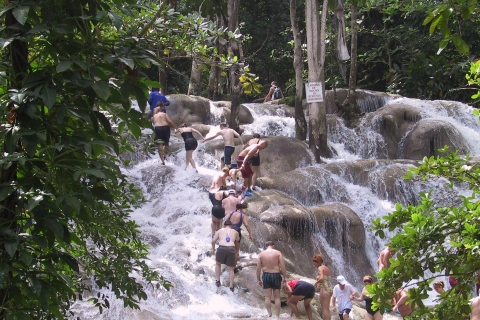 Cataratas del río Dunn: Excursión desde Montego Bay, RB, Ocho RíosDesde los hoteles de Montego Bay
