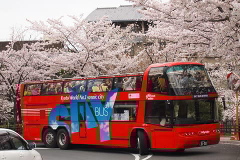 Kyoto: Hop-on Hop-off Sightseeing Bus Ticket