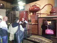 Da Stellenbosch, Hop-On Hop-Off Wine Tour Southern Route - Housity