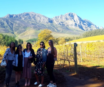 Stellenbosch: Eastern Route Hop-On Hop-Off Wine Tour