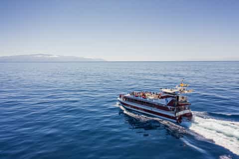 Teneriffa: Wal- & Delfin-Tour mit Unterwasser-Beobachtung