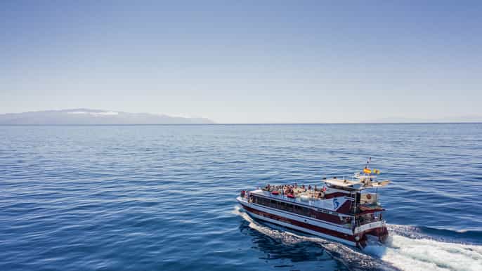 Tenerife: tour con ballenas, delfines y vistas submarinas