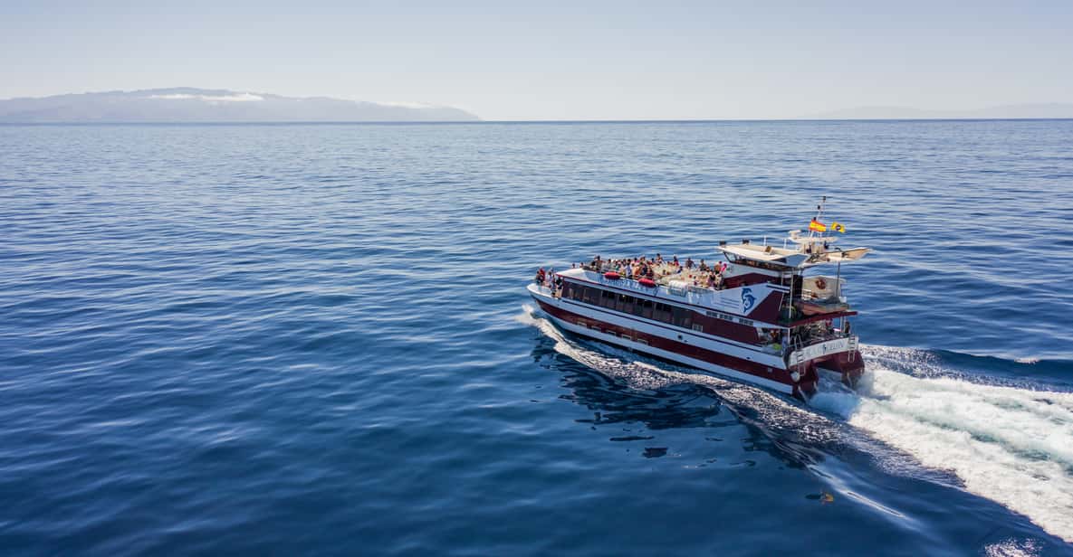 Tenerife: Whale and Dolphin Tour with Underwater Views