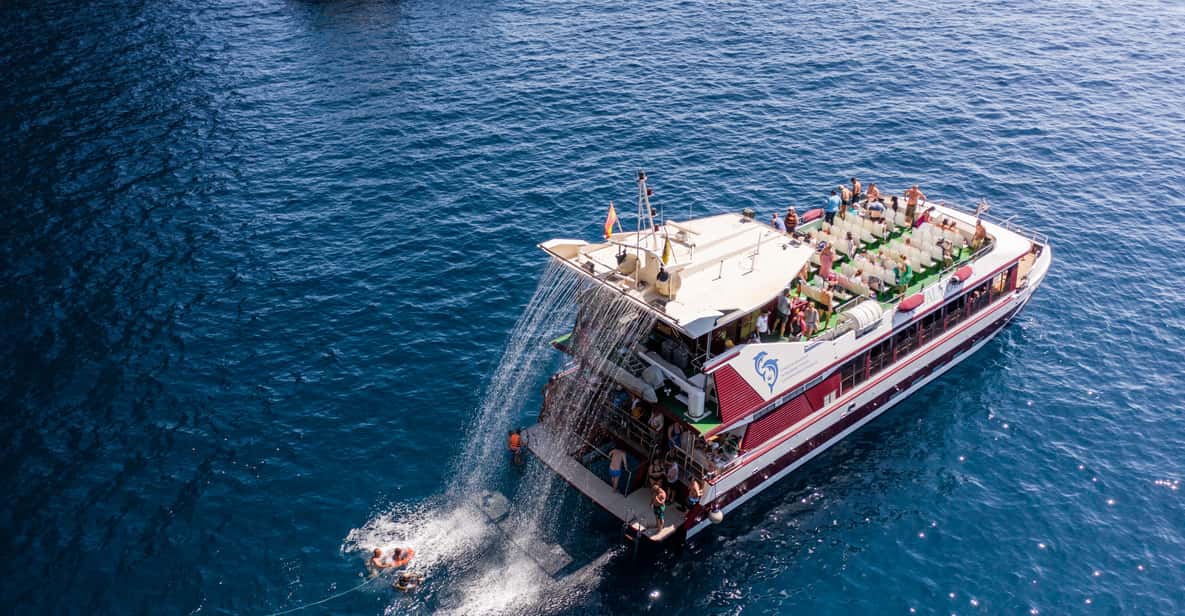 Tenerife: Whale and Dolphin Tour with Underwater Views