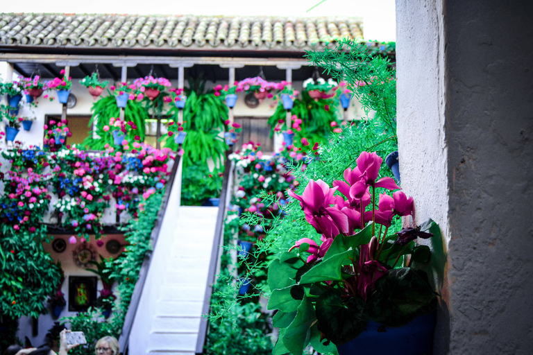 Patios of Cordoba Walking TourPatios of Cordoba Walking Tour in Spanish