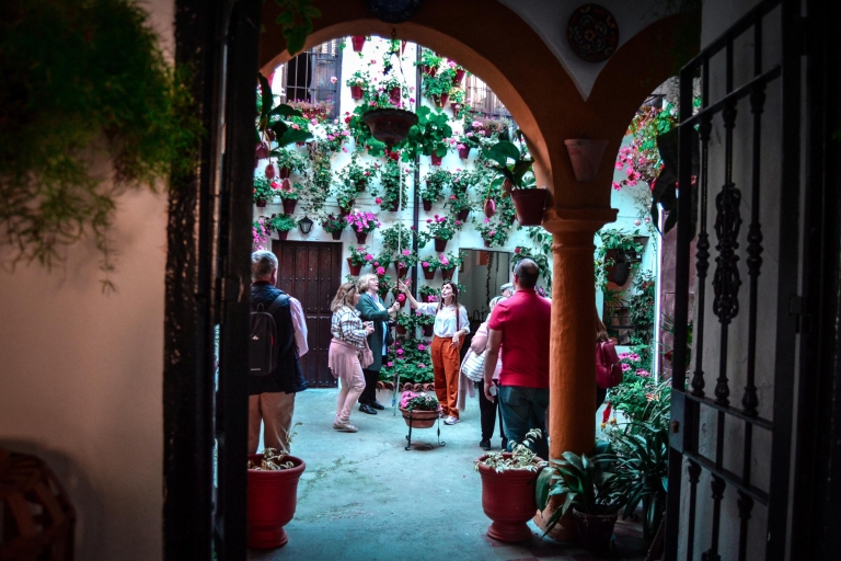 Tour a pie por los Patios de CórdobaTour a pie por los patios de Córdoba en español