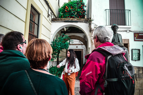 Córdoba: Jewish Quarter, Synagogue, Mosque, and Alcázar TourTour in English