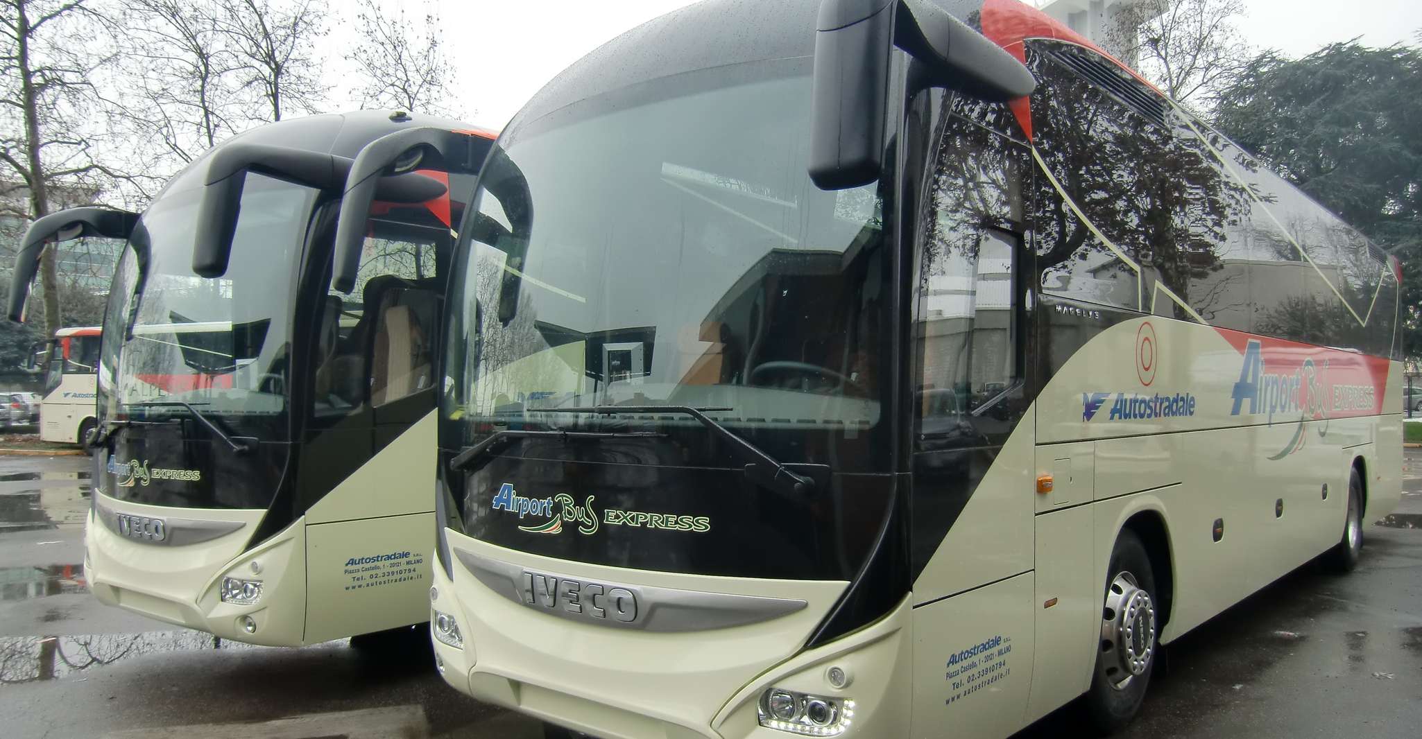 Bus Transfer from Malpensa Airport and Milan Central Station -  