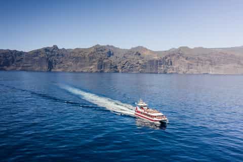 From Adeje: Whale and Dolphin Watching Cruise with Lunch
