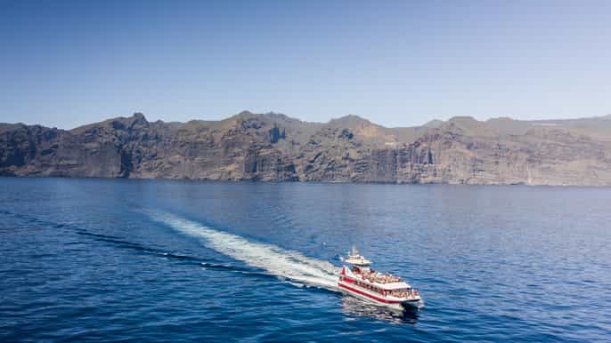 from adeje whale and dolphin watching cruise with lunch
