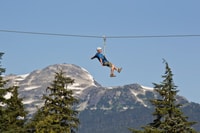 Whistler Zipline Experience, Ziptrek Eagle Tour - Housity