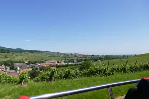 From Strasbourg: Alsace Traditional Villages Day Trip