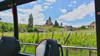 Da Strasburgo, Villaggi Medievali & Degustazione di vino - Hizvo