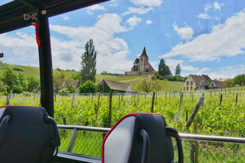 De Estrasburgo: viagem de 1 dia a vilarejos medievais e degustação de vinhos