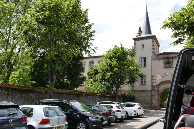 Au départ de Strasbourg : Excursion d&#039;une journée dans les villages médiévaux et dégustation de vinStrasbourg : journée sur la route des vins d&#039;Alsace