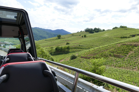 De Estrasburgo: viagem de 1 dia a vilarejos medievais e degustação de vinhos