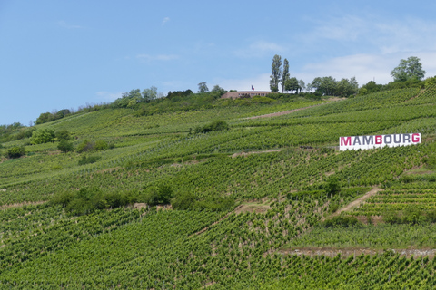 Da Strasburgo: escursione di un giorno con degustazione di vini e villaggi medievali