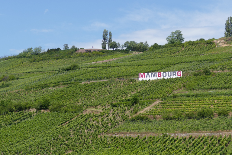 Da Strasburgo: escursione di un giorno con degustazione di vini e villaggi medievali