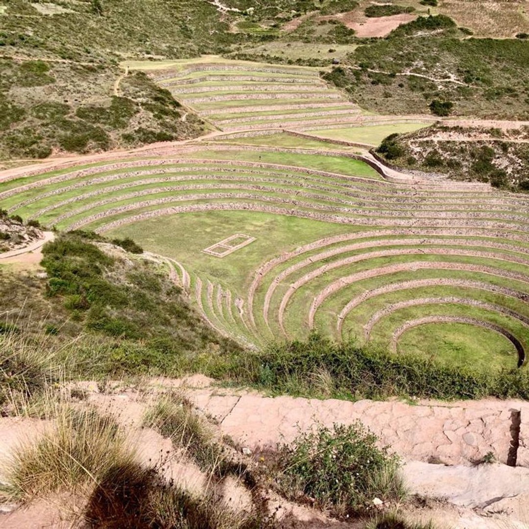 Colagem de mídia