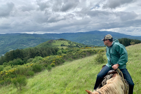 From Florence: Horse Ride and Wine Tour at Estate with Lunch