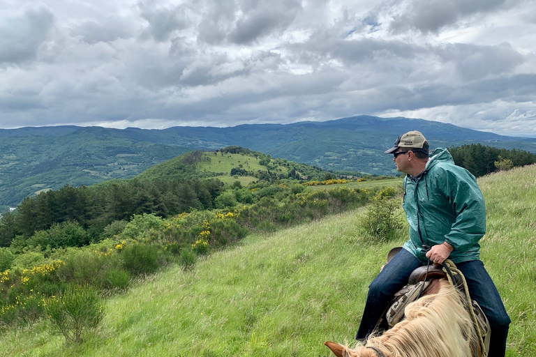 From Florence: Horse Ride and Wine Tour at Estate with Lunch