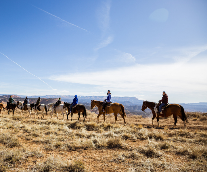 Bryce Canyon: Horseback Ride in the Dixie National Forest