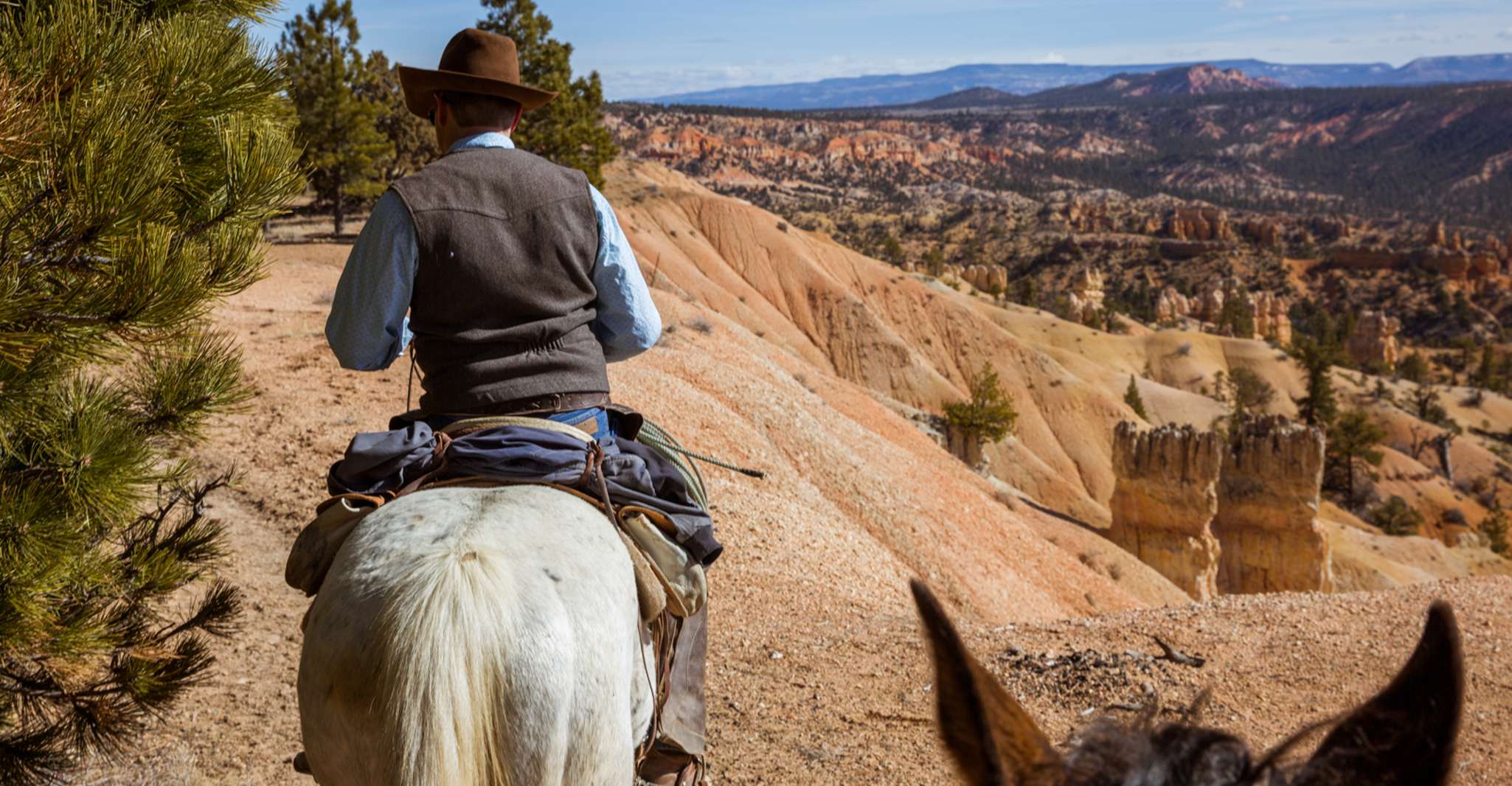 Bryce Canyon, Horseback Ride in the Dixie National Forest - Housity