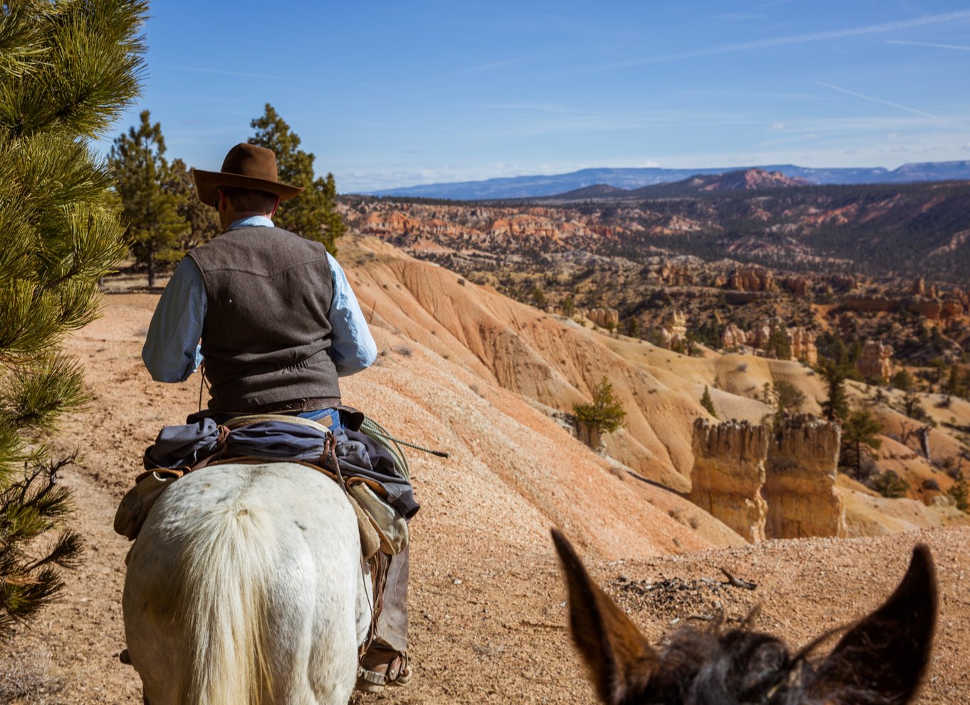 Bryce Canyon: Ridetur i Dixie National Forest