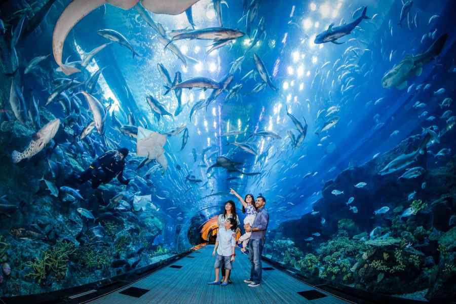 Dubai Aquarium & Underwater Zoo: Tages-Ticket