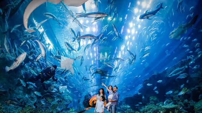dubai aquarium underwater zoo dagkaart