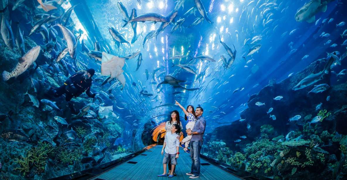 Entrada de un día del acuario y zoo submarino de Dubái