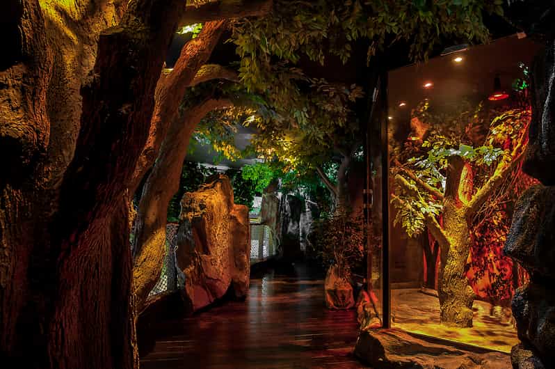 Dubai Aquarium and Underwater Zoo Day Ticket GetYourGuide