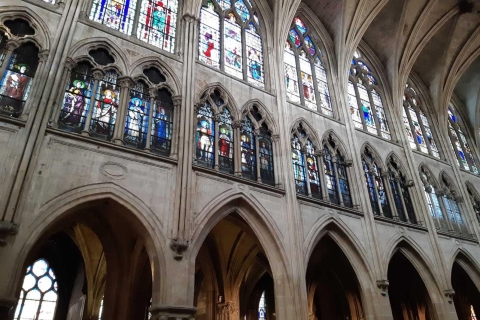 Paris : Notre-Dame, Île de la Cité et église Saint-SéverinVisite avec un guide anglophone
