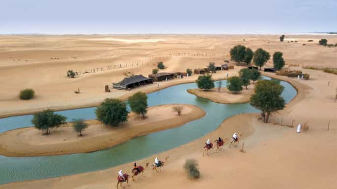 dubai 5hour bedouin desert experience with camel caravan