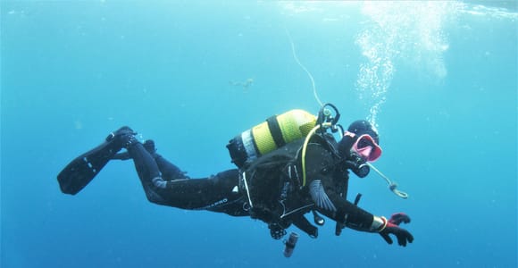 Gran Canaria: Morning Scuba Dive