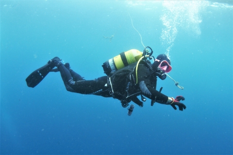 Gran Canaria: poranne nurkowanieOpcja standardowa