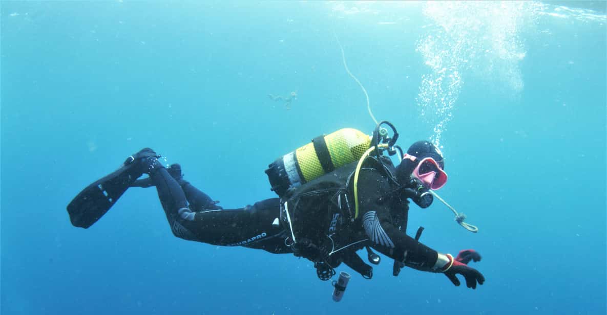 Gran Canaria Morning Scuba Dive GetYourGuide