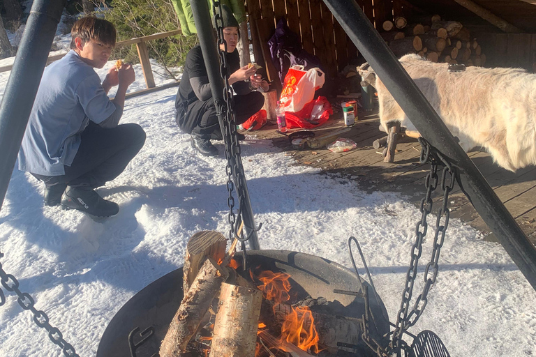 Oslo: Wilderness Skiing Tour with Lunch by the Fire