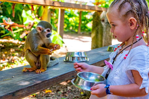 From Bayahibe: Half Day Monkeyland Safari