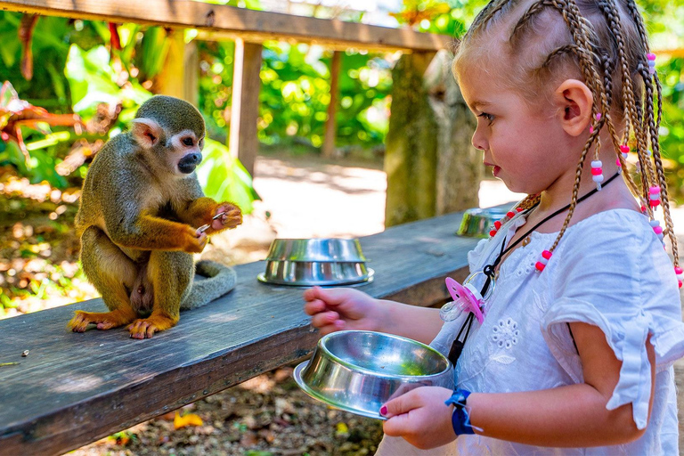 From Bayahibe: Half Day Monkeyland Safari